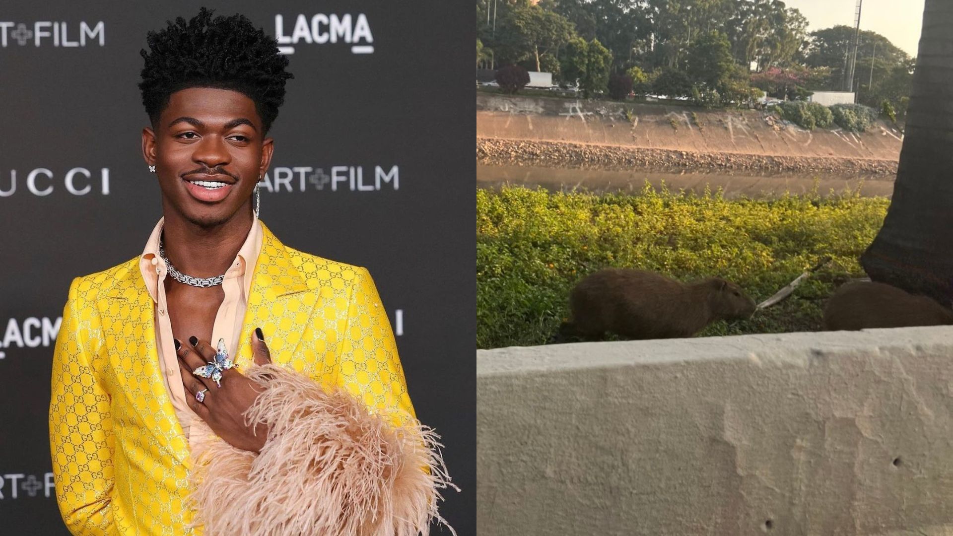 Lil Nas X