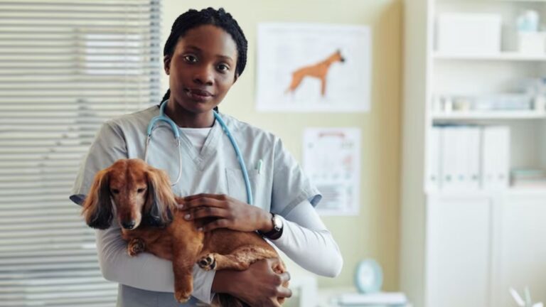 Profissionais negros realizam nova edição do Simpósio Afrocentrado de Medicina Veterinária, em São Paulo